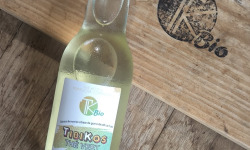 TK Bio - The Kefir et Kombucha Compagnie - TibiKos - Thé vert - Thé glacé Probiotique (Kéfir de fruits) – 12x33cl BIO