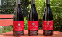 Domaine des Mazis - FOIRE AUX VINS - AOC Châteaumeillant - Vin Rouge - La Belle Anglaise 2019 - 3x75 cl