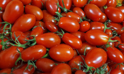 Le Pré de la Rivière - Tomate cerise rouge allongée Bio - Origine France