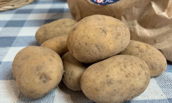 Ferme de La Tremblaye - Pommes de Terre variété "Dolreine"