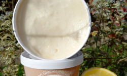 O Maribelle - Sorbet Citron BIO 500 ml