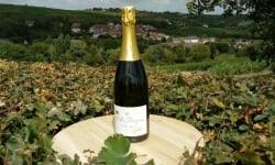 Domaine Doudeau-Leger - Bulles d'Ange - Méthode Traditionnelle Blanc Brut - 1 Bouteille