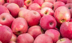 Nature et Saveurs - Ferme Aquaponique et Permacole Astérienne - Pomme Pink Lady — Croquant précis et fraîcheur longue