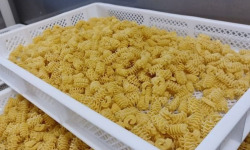 Lioravi, l'authentique pâte fraîche ! - [Précommande] Radiatori Bio - 1kg