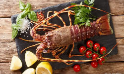 Brest Marée - Langoustes Royales cuites - pièce de 1kg