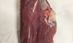 Des Poules et des Vignes à Bourgueil - Filet De Canard