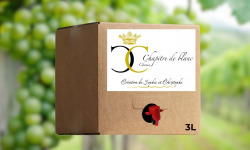 Domaine de la Chopinière du Roy - BIB de vin Blanc Sec et Aromatique 2025 Chenin - 3 Litres