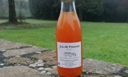 Domaine Fourmond Lemorton - Jus de Pomme BIO