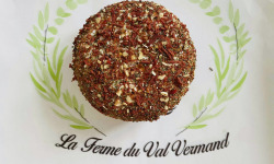 La Ferme du Val Vermand - Fromage de chèvre frais bruschetta (tomate, basilic, origan)  x1