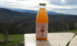 Terres EnVie - Jus De Pommes Bio « classic » Variétés Anciennes