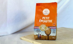 BERRY GRAINES - Petit épeautre origine France - 350g