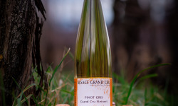 Domaine François WECK et fils - Pinot Gris Cuvée Mathias 2023 - 75 cl