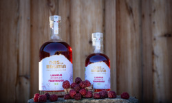 Ors na Bruma - Liqueur de Framboise 20cl