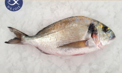 La Criée d'à Côté - Daurades Royales Sauvages - Lot 1,2 Kg