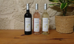 Domaine Les Conques Soulière - PAN-AGA  Coffret 3 couleurs Cuvée Agarrus IGP Méditerranée