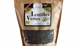 Les Graines de Louise - ANTI GASPI Lentilles Vertes