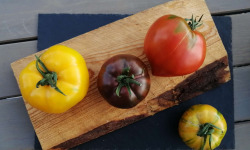 Ferme de Carcouet - Tomates Anciennes Bio - 1 kg