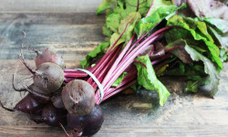 ChâteauFer - Betterave botte 500g