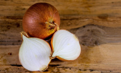 Nature et Saveurs - Ferme Aquaponique et Permacole Astérienne - Oignon jaune - 2Kg
