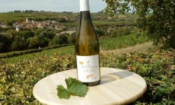 Domaine Doudeau-Leger - Vent d'Ange - Vin de Pays du Val de Loire Blanc IGP 2023 - 1 Bouteille