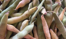 Des Poules et des Vignes à Bourgueil - Coco de Paimpol AOC