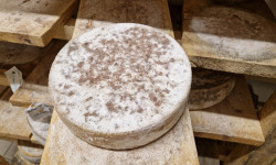 Ferme Lait Prés Verts - Tomme le Gaulois - Bio - 250 g