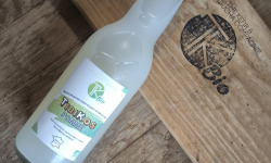 TK Bio - The Kefir et Kombucha Compagnie - TibiKos Pomme BIO (Kéfir de fruits) – 12x33cl