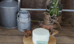 Boutique Boisette - Le p’tit boisettin pur chèvre mi-sec 140g