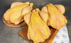 Maison Lascours - 3 Poulets Fermiers Label Rouge - 4,5kg