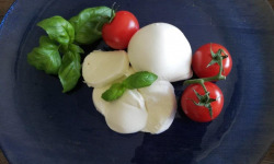 Fromagerie Beauséjour - Mozzarella au lait cru de vache, lot de 4 pots de 125g