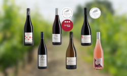 Domaine de la Chopinière du Roy - Coffret cadeau découverte des vins de Loire "Les 6 vins de Loire du Domaine" - 6 x 75 cl