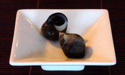 Saint Kerber - Cancale - Bigorneaux grimpés - calibre Moyen - barquette de 1 kg