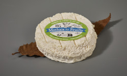 Laiterie de Pamplie - Mothais sur feuille AOC