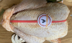 Ferme ALLAIN - Chapon fermier 3kg