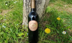 Domaine de Pilhoy - Vin Rouge AOC Bordeaux