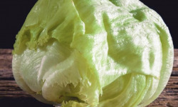 L'OLIVERAIE DU COUDON - SALADE ICEBERG 5 PIÈCES