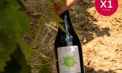 Domaine de la Perrée - Saint Nicolas de Bourgueil Rouge - Vignerons en Herbe