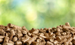 Adal Terra - Litière 100% Biologique et Ecologique de Petit Epeautre Bio 5KG