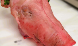 Ferme de la Paumerais - TETE ENTIERE DE PORC (x1) - 3,5 Kg