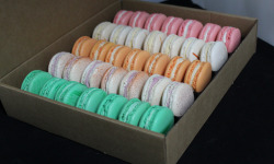 Les Macarondises - 35 Macarons Saveur d'été