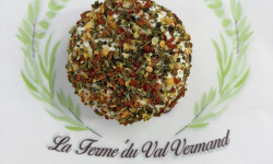 La Ferme du Val Vermand - Fromage de chèvre frais Oignon fumé  x1