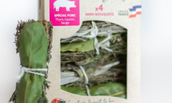 Les Herbes du Roussillon - 4 Bouquets "spécial Porc" Thym, Laurier, Sauge