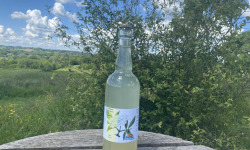 Ferme Sinsac - Pétillant aux fleurs de sureau sans alcool