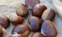 Mademoiselle Châtaigne - [Précommande] Châtaignes Fraiches d'Ardèche Bio Et Aop - 10kg