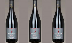 Domaine de Chevilly - 3 bouteilles de Reuilly Rouge - La Licorne Rouge