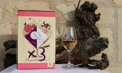 Domaine de la Chopinière du Roy - Lot de 3 BIB de vin rosé 2025 Sec et fuité 5 Litres