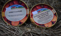 Les Glaces de la Promesse - Glace Au Chocolat Extra Et Sorbet Poire 2x 500 Ml