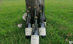 Domaine Fourmond Lemorton - Cidre Fermier Demi-Sec BIO x6