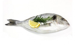 Ma poissonnière - Daurade Royale - Lot De 1 Kg