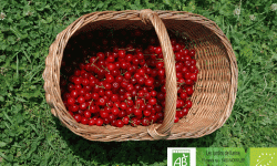 LES JARDINS DE KARINE - Cerise griotte dénoyautée et surgelée - 1 kg